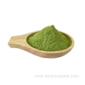 High Quality Organic Vegetable Kale Leaf Extract Powder